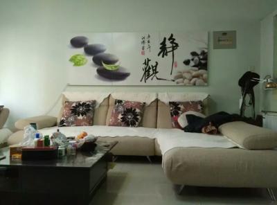 碳纖維藝術(shù)墻暖